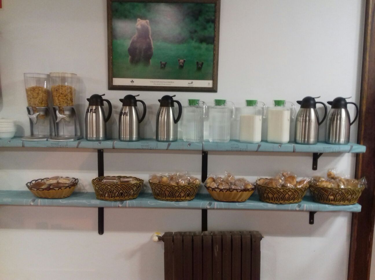 Campamento Cabrales PLAZAS COMPLETAS - Imagen 13